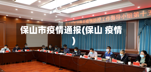 保山市疫情通报(保山 疫情)-第2张图片