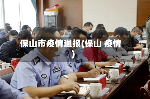 保山市疫情通报(保山 疫情)-第3张图片