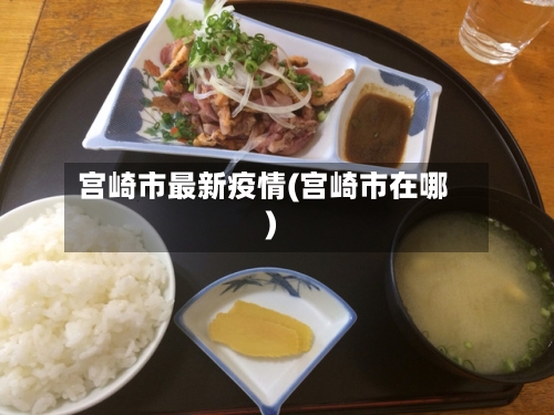 宫崎市最新疫情(宫崎市在哪)-第2张图片