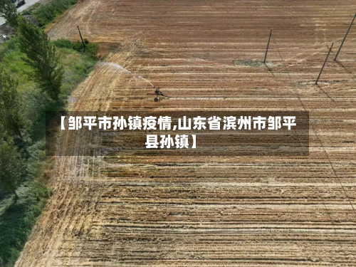 【邹平市孙镇疫情,山东省滨州市邹平县孙镇】-第3张图片