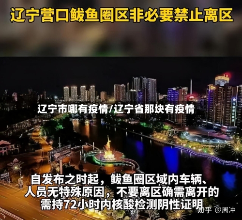 辽宁市哪有疫情/辽宁省那块有疫情-第1张图片