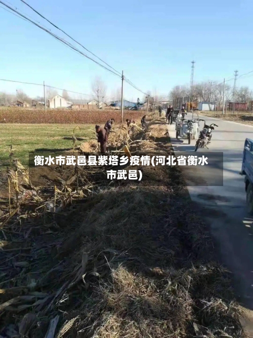 衡水市武邑县紫塔乡疫情(河北省衡水市武邑)-第1张图片