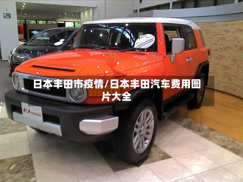 日本丰田市疫情/日本丰田汽车费用图片大全-第2张图片