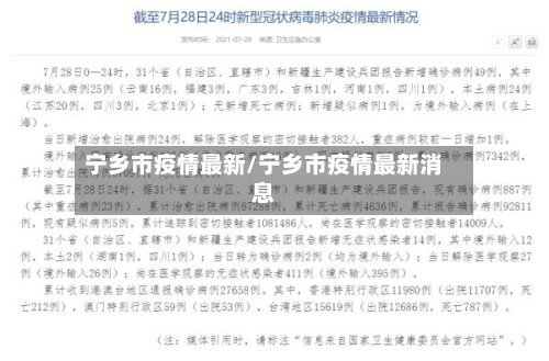 宁乡市疫情最新/宁乡市疫情最新消息-第1张图片