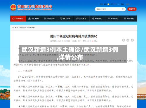 武汉新增3例本土确诊/武汉新增3例,详情公布-第1张图片