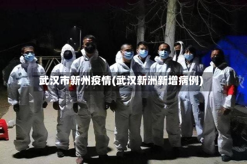 武汉市新州疫情(武汉新洲新增病例)-第2张图片