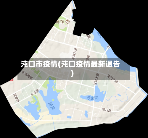 沌口市疫情(沌口疫情最新通告)-第1张图片
