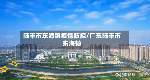 陆丰市东海镇疫情防控/广东陆丰市东海镇-第2张图片