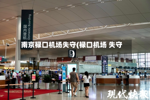 南京禄口机场失守(禄口机场 失守)-第1张图片