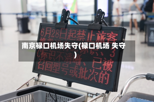 南京禄口机场失守(禄口机场 失守)-第2张图片