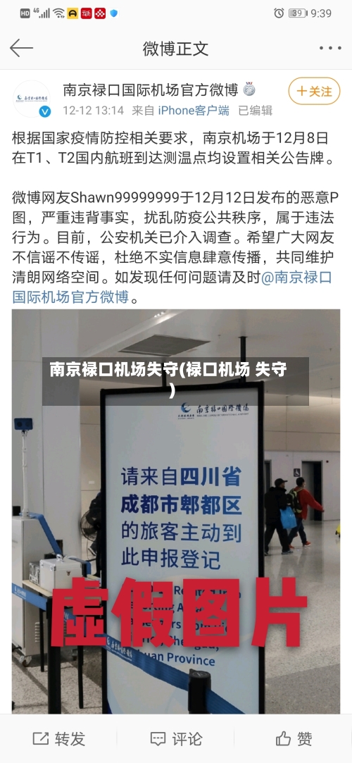 南京禄口机场失守(禄口机场 失守)-第3张图片