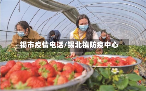 锡市疫情电话/锡北镇防疫中心-第1张图片