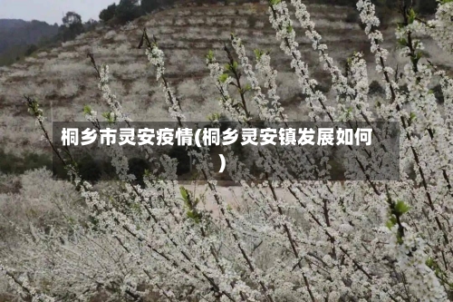 桐乡市灵安疫情(桐乡灵安镇发展如何)-第1张图片
