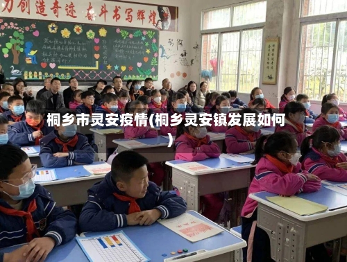 桐乡市灵安疫情(桐乡灵安镇发展如何)-第2张图片