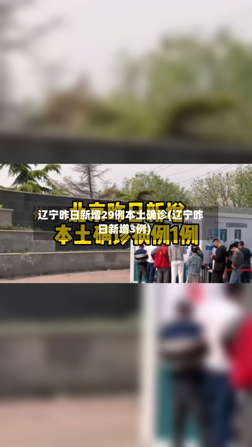 辽宁昨日新增29例本土确诊(辽宁昨日新增3例)-第3张图片