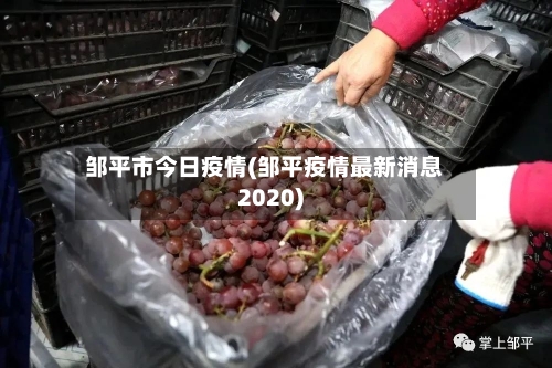 邹平市今日疫情(邹平疫情最新消息2020)-第2张图片