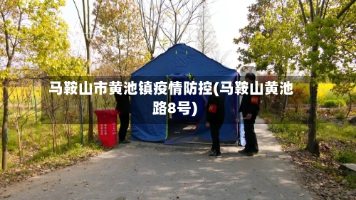 马鞍山市黄池镇疫情防控(马鞍山黄池路8号)-第2张图片