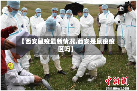 【西安鼠疫最新情况,西安是鼠疫疫区吗】-第3张图片