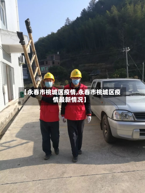 【永春市桃城区疫情,永春市桃城区疫情最新情况】-第2张图片