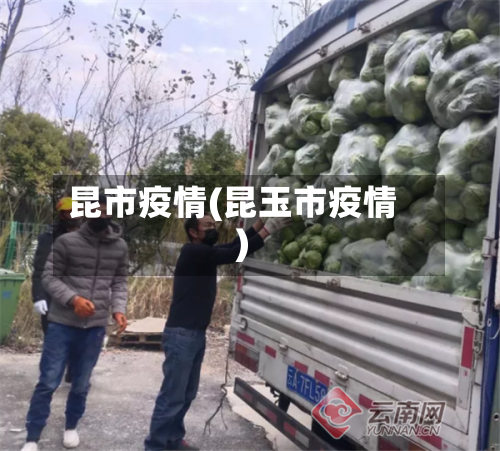 昆市疫情(昆玉市疫情)-第2张图片