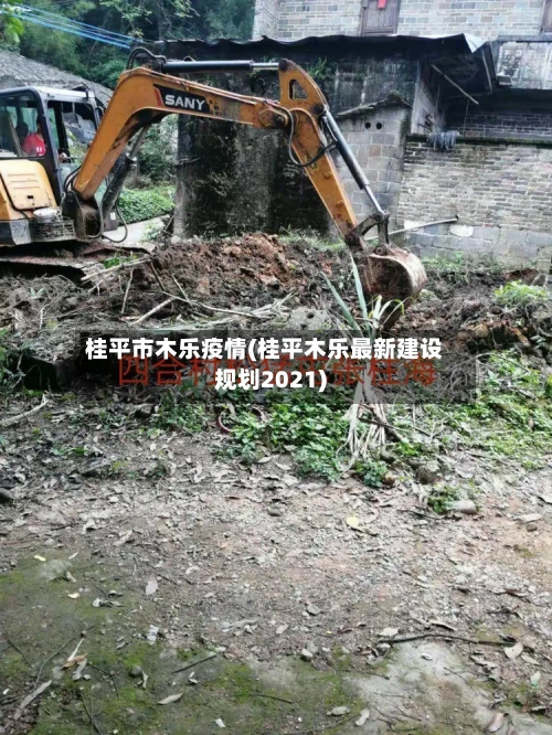 桂平市木乐疫情(桂平木乐最新建设规划2021)-第1张图片