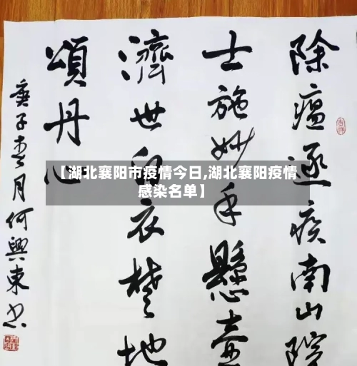 【湖北襄阳市疫情今日,湖北襄阳疫情感染名单】-第2张图片