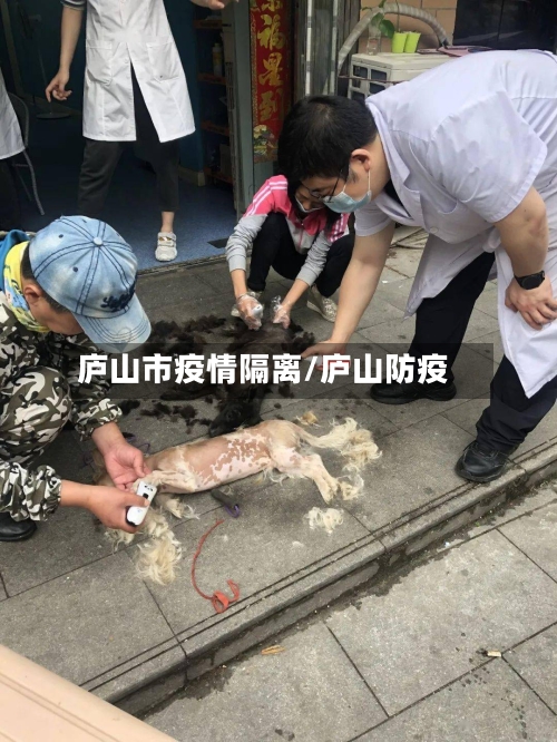 庐山市疫情隔离/庐山防疫-第3张图片