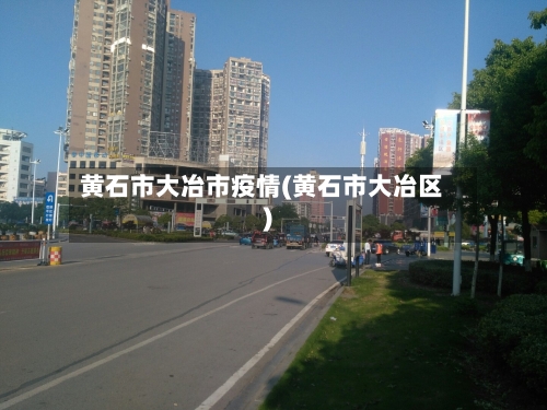 黄石市大冶市疫情(黄石市大冶区)-第2张图片