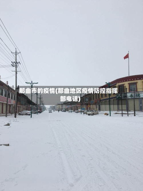 那曲市的疫情(那曲地区疫情防控指挥部电话)-第2张图片