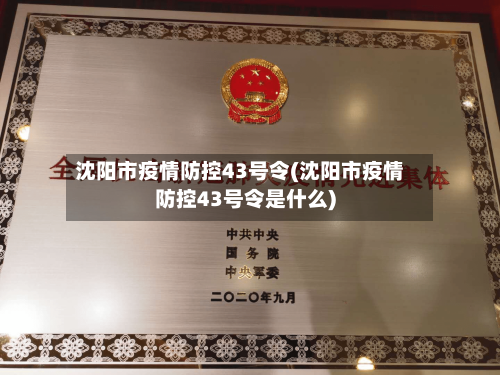 沈阳市疫情防控43号令(沈阳市疫情防控43号令是什么)-第1张图片