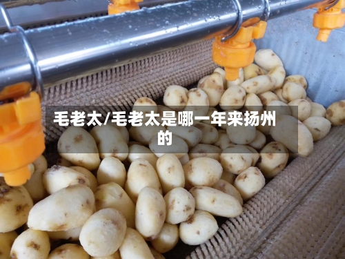 毛老太/毛老太是哪一年来扬州的-第1张图片