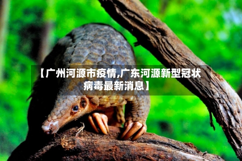 【广州河源市疫情,广东河源新型冠状病毒最新消息】-第2张图片