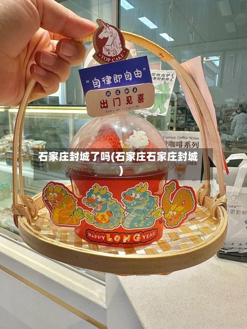 石家庄封城了吗(石家庄石家庄封城)-第1张图片