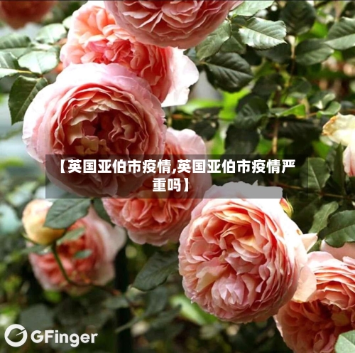 【英国亚伯市疫情,英国亚伯市疫情严重吗】-第1张图片
