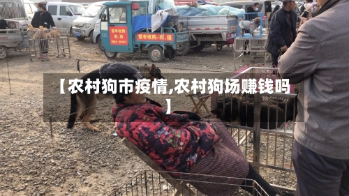 【农村狗市疫情,农村狗场赚钱吗】-第1张图片