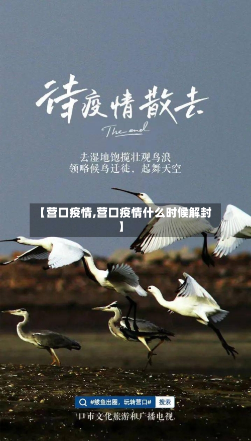 【营口疫情,营口疫情什么时候解封】-第1张图片