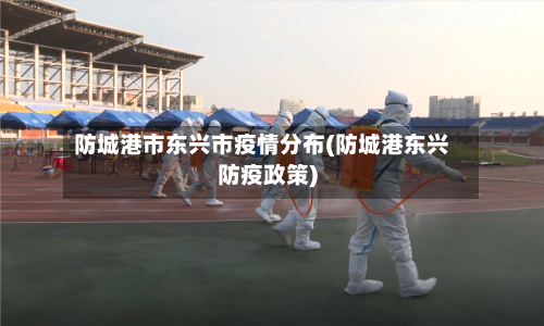 防城港市东兴市疫情分布(防城港东兴防疫政策)-第3张图片