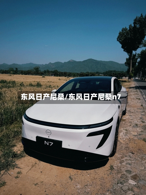东风日产尼桑/东风日产尼桑n7-第2张图片