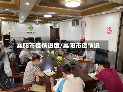 襄阳市疫情进度/襄阳市疫情况-第1张图片