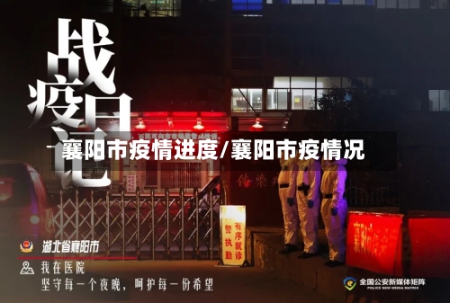 襄阳市疫情进度/襄阳市疫情况-第3张图片