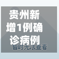 贵州新增1例确诊病例(贵州新增一例)-第1张图片