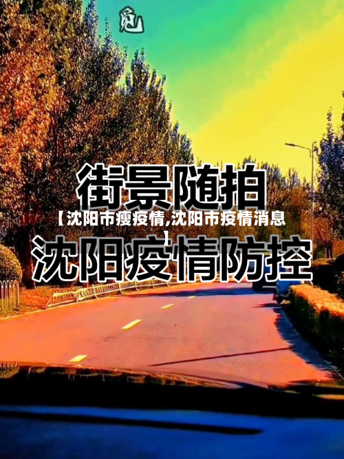 【沈阳市瘦疫情,沈阳市疫情消息】-第3张图片