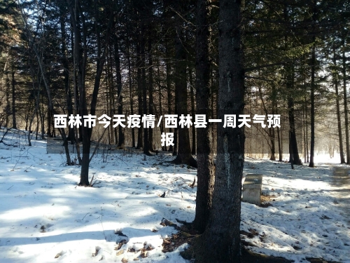 西林市今天疫情/西林县一周天气预报-第2张图片