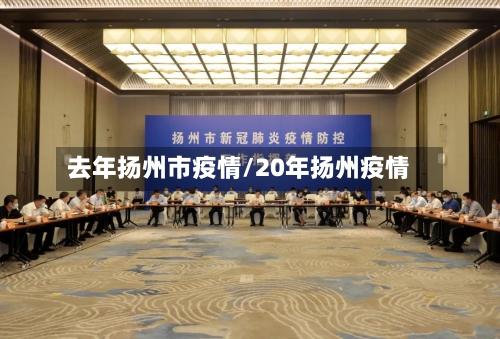 去年扬州市疫情/20年扬州疫情-第1张图片