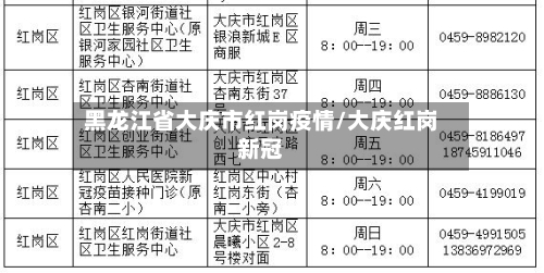 黑龙江省大庆市红岗疫情/大庆红岗新冠-第2张图片
