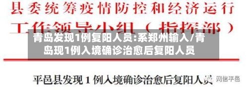 青岛发现1例复阳人员:系郑州输入/青岛现1例入境确诊治愈后复阳人员-第3张图片