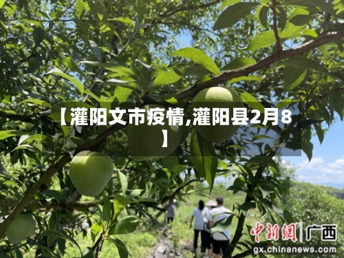 【灌阳文市疫情,灌阳县2月8】-第3张图片