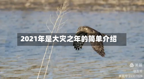 2021年是大灾之年的简单介绍-第1张图片