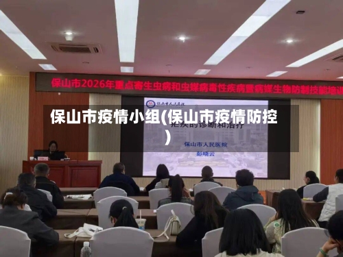 保山市疫情小组(保山市疫情防控)-第1张图片