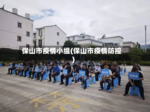 保山市疫情小组(保山市疫情防控)-第2张图片